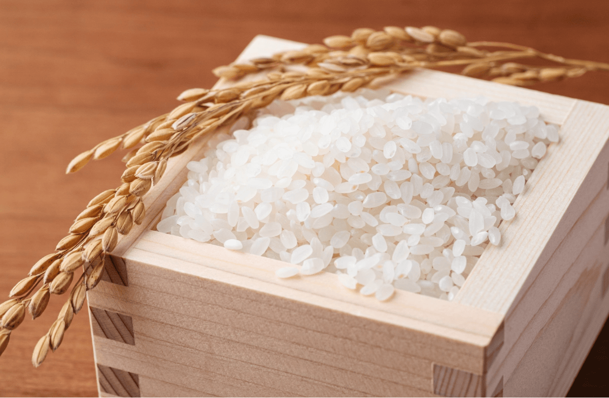 京都府産 コシヒカリ