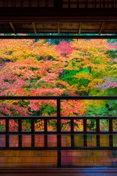 京都 瑠璃光院の紅葉