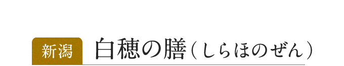 新潟 白穂の膳