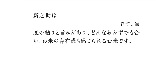 新之助は大粒でしっかりとしたコシがあり「粒感」を楽しめるのが最大の特徴です。適度の粘りと旨みがあり、どんなおかずでも合い、お米の存在感も感じられるお米です。