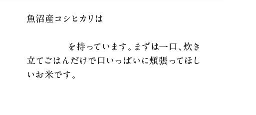 魚沼産コシヒカリは「噛みしめたときのしっかりとした甘味」「ふっくら」「やわらか」「粘っこい」特徴を持っています。まずは一口、炊き立てごはんだけで口いっぱいに頬張ってほしいお米です。