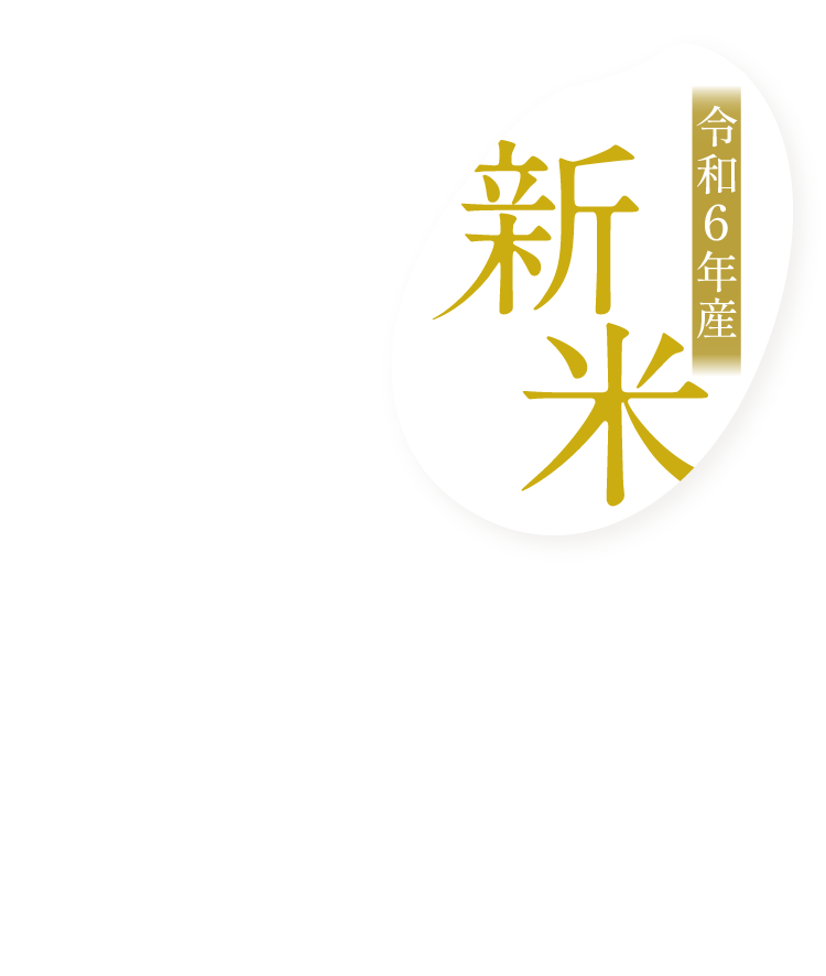 令和6年産 新米